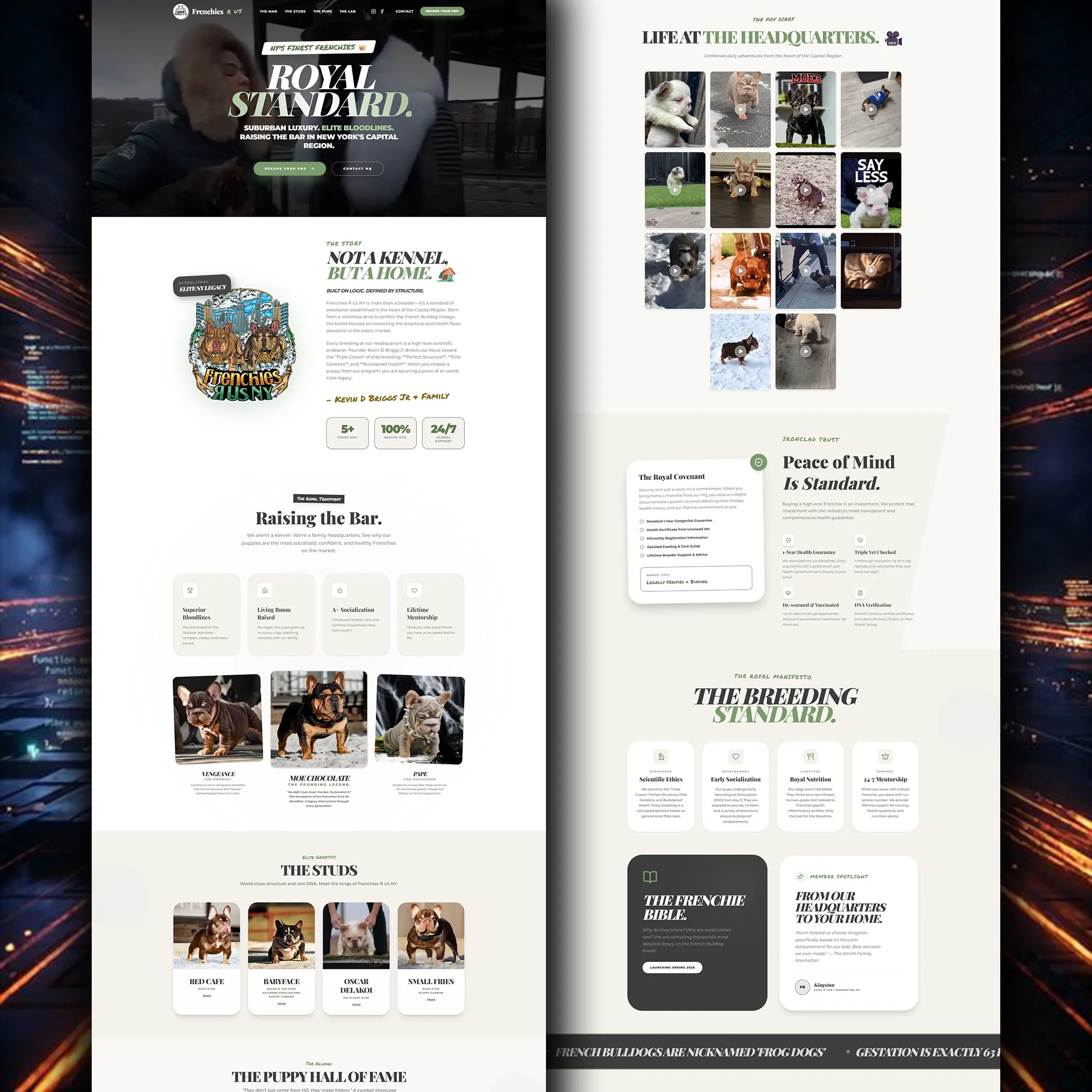 Clean web design example