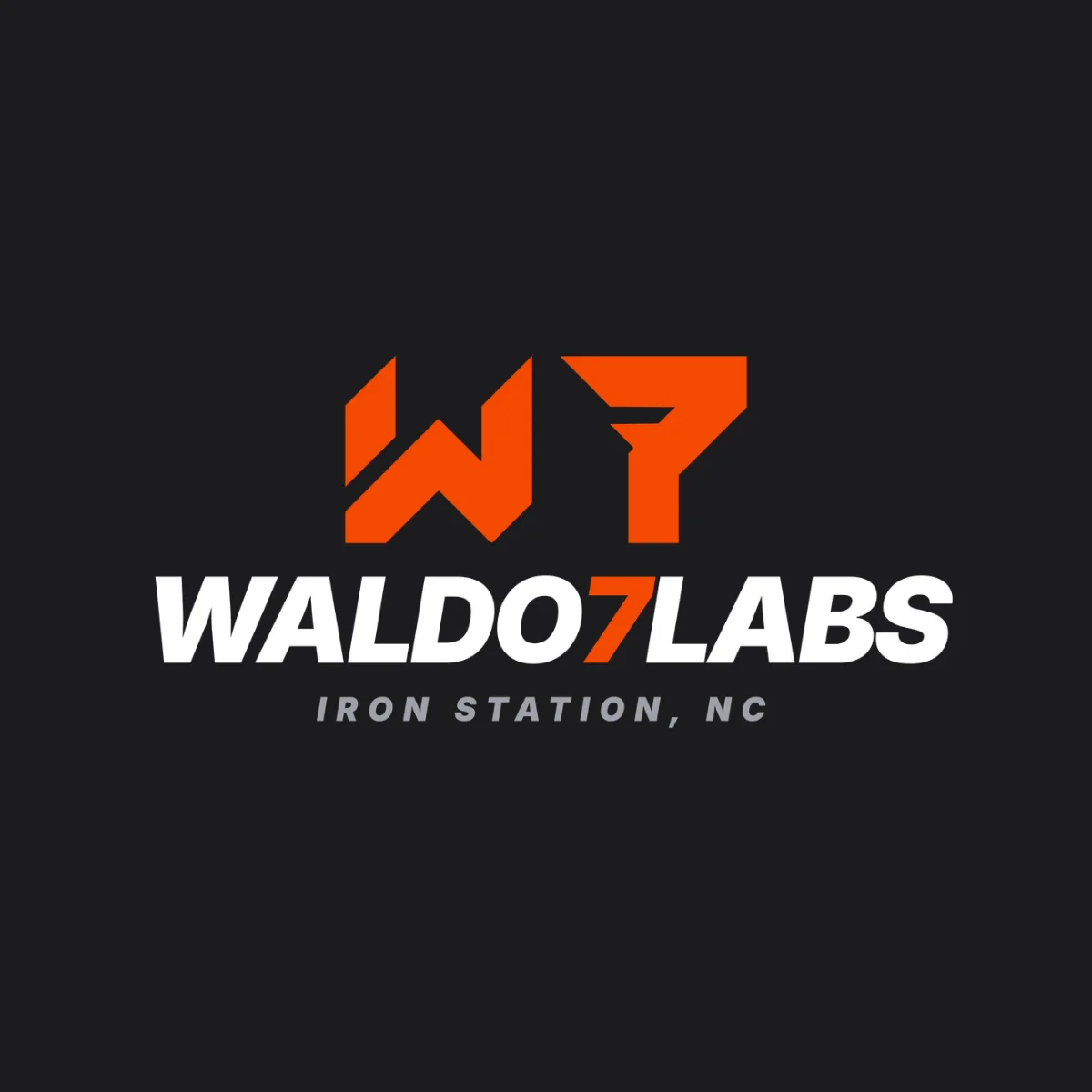 The W7 Hoodie design on its own
