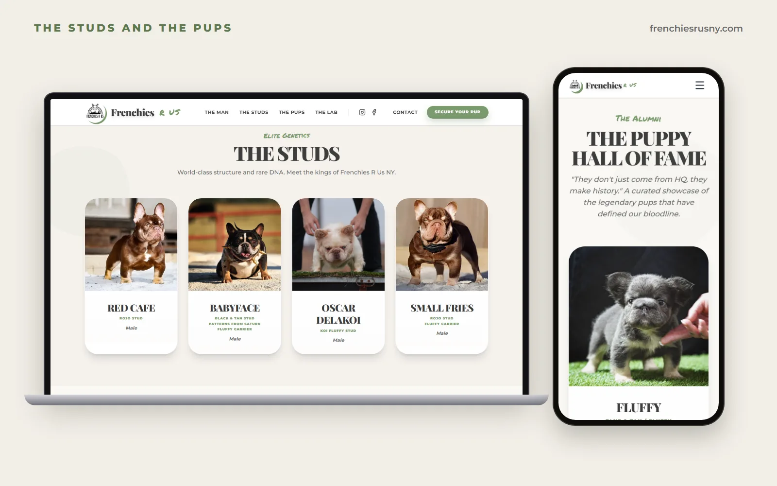 The Studs section on a laptop with Red Cafe, Babyface, Oscar Delakoi and Small Fries, and a phone showing the Puppy Hall of Fame heading and Fluffy, a blue and tan fluffy male.