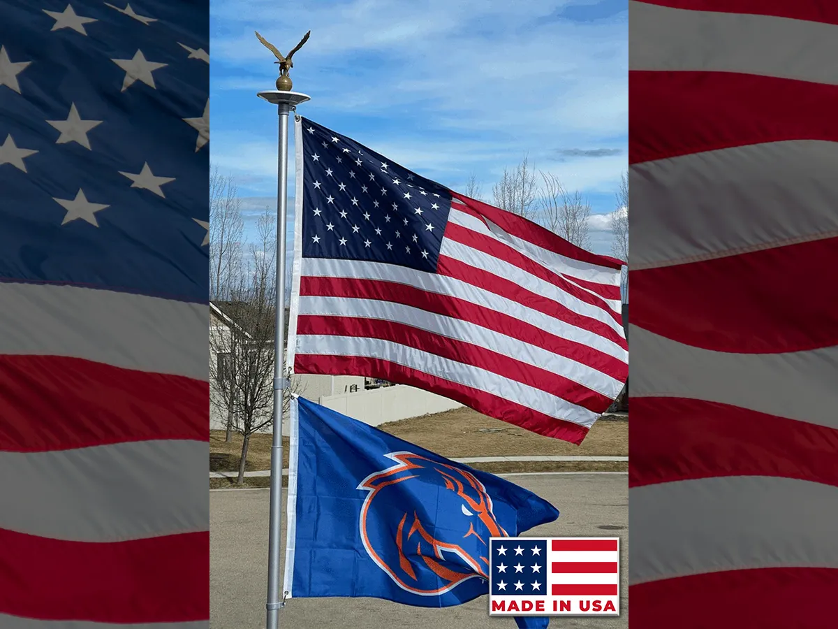 Double Flag System